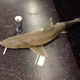 Illustration for article titled Subway Shark